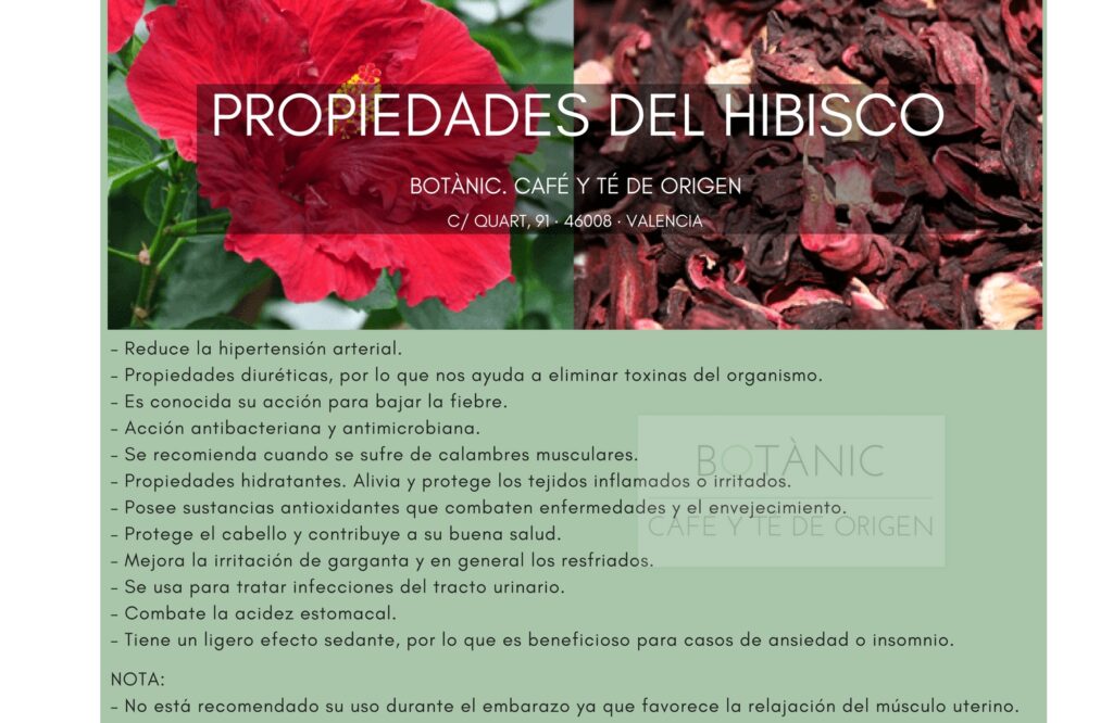 floriterapia de hibisco beneficios y usos