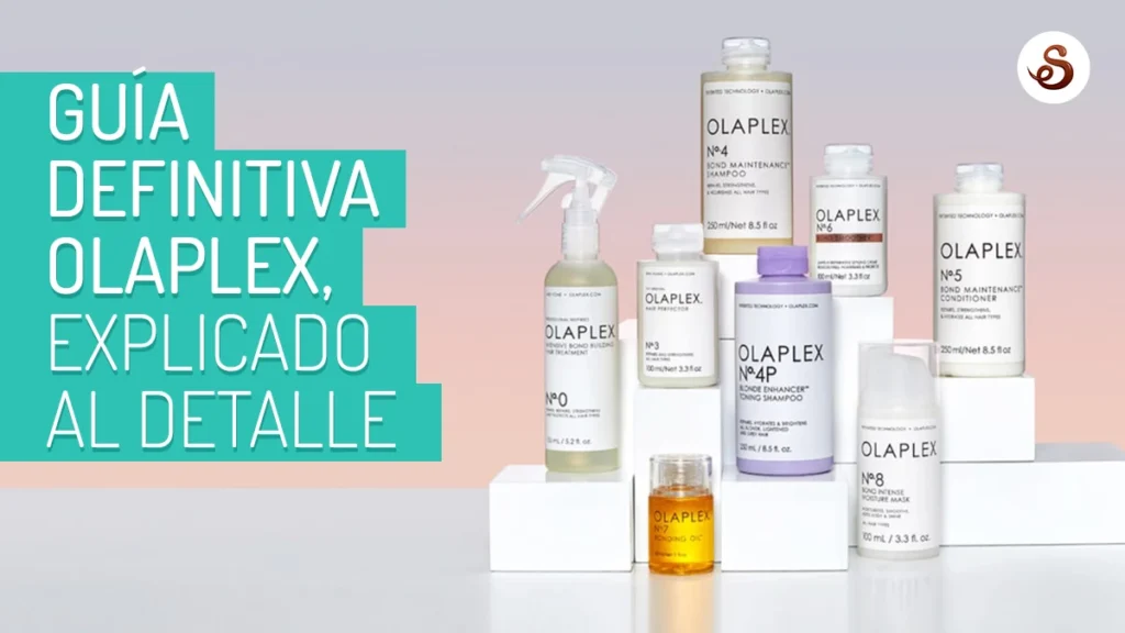 guia para cabello danado con shampoo reconstructor