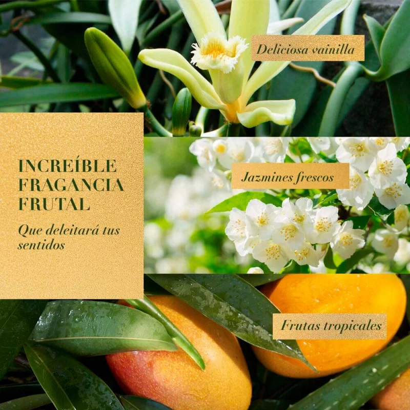 acondicionador frutas tropicales